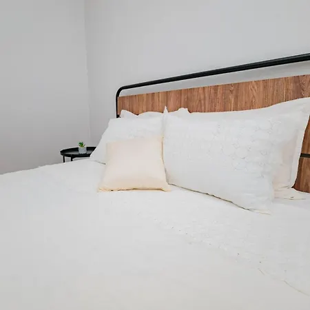 Seashell Néa Mihanióna