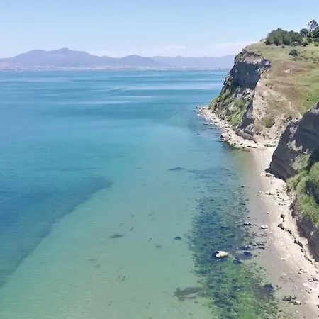 Seashell 尼亚米卡尼奥纳