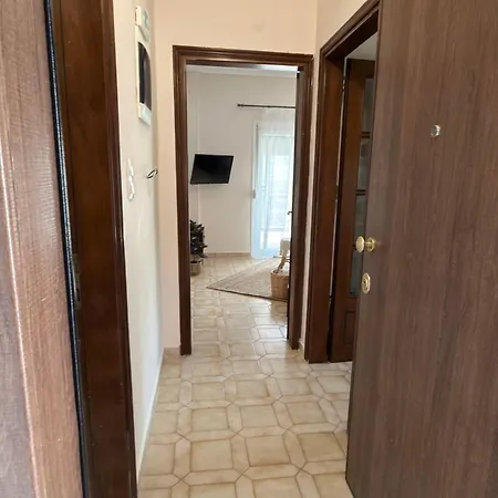 Apartment Seashell