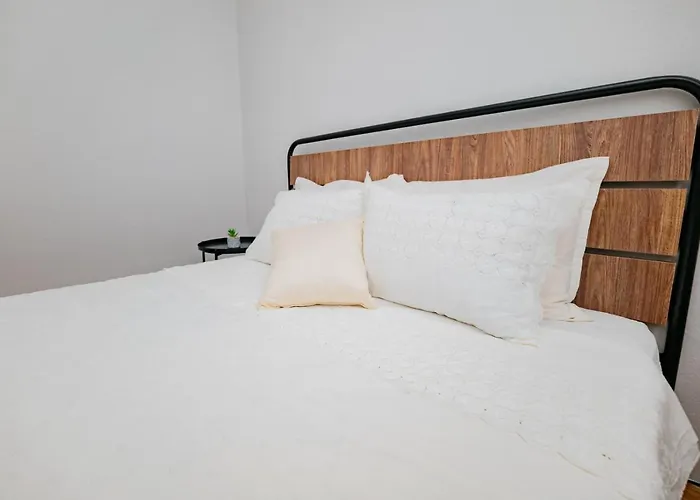 Seashell 尼亚米卡尼奥纳