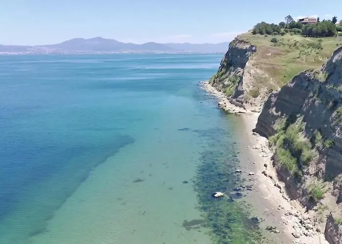 Seashell 尼亚米卡尼奥纳